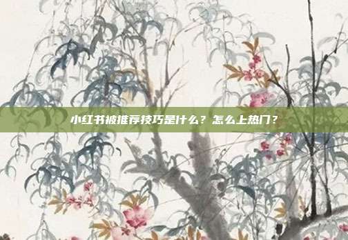 小红书被推荐技巧是什么?怎么上热门?