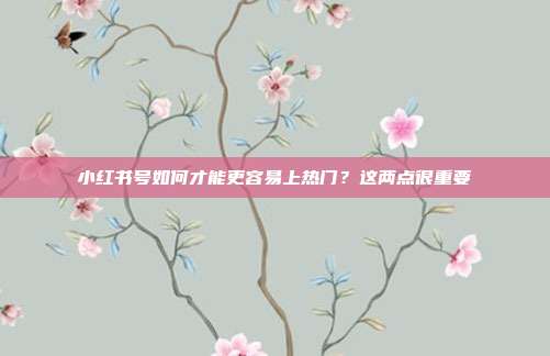 小红书号如何才能更容易上热门?这两点很重要