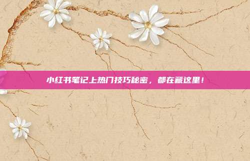 小红书笔记上热门技巧秘密,都在藏这里!
