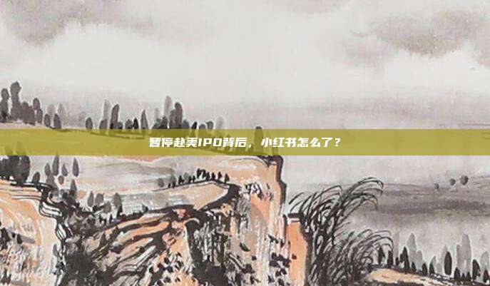 暂停赴美IPO背后,小红书怎么了?