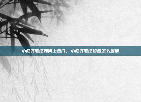 小红书笔记如何上热门,小红书笔记排名怎么置顶