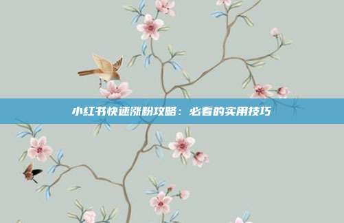 小红书快速涨粉攻略:必看的实用技巧