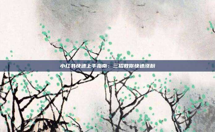 小红书快速上手指南:三招教你快速涨粉