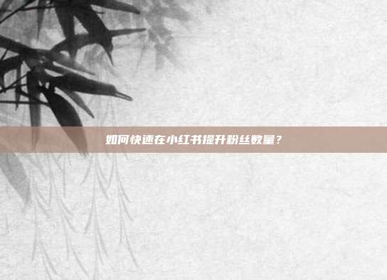 如何快速在小红书提升粉丝数量?