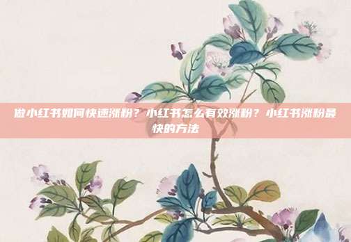 做小红书如何快速涨粉?小红书怎么有效涨粉?小红书涨粉最快的方法