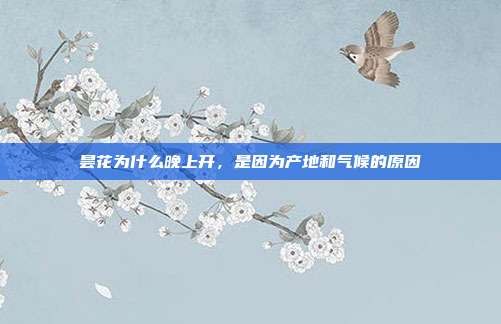 昙花为什么晚上开，是因为产地和气候的原因