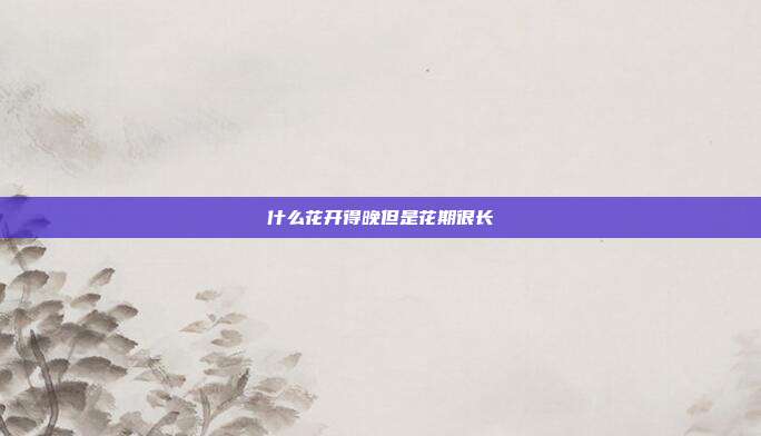 什么花开得晚但是花期很长