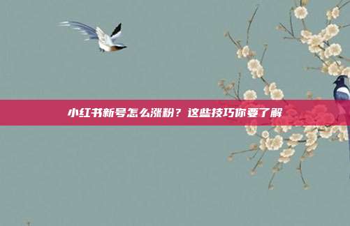 小红书新号怎么涨粉?这些技巧你要了解