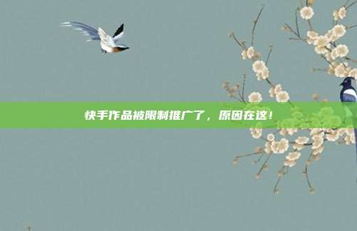 快手作品被限制推广了,原因在这!