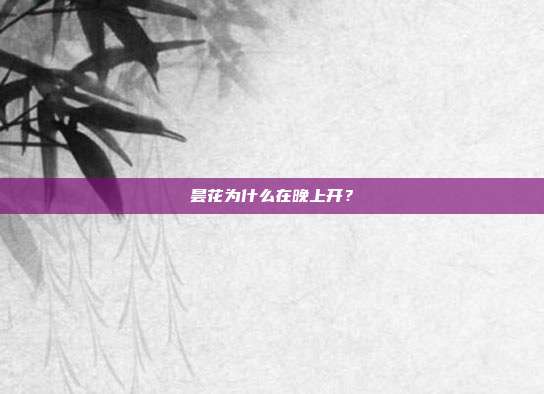 昙花为什么在晚上开？