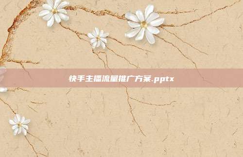 快手主播流量推广方案.pptx