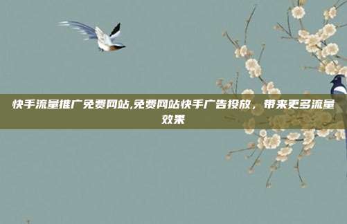 快手流量推广免费网站,免费网站快手广告投放,带来更多流量效果