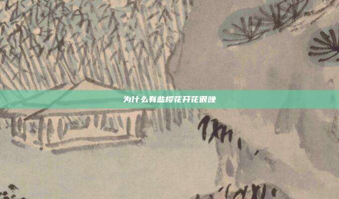 为什么有些樱花开花很晚