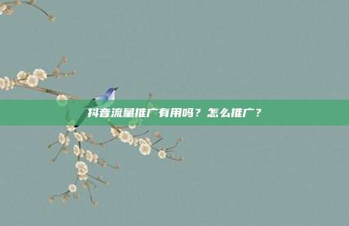 抖音流量推广有用吗?怎么推广?