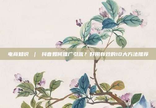 电商知识 | 抖音如何推广引流?好用有效的10大方法推荐