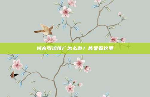 抖音引流推广怎么做?答案看这里