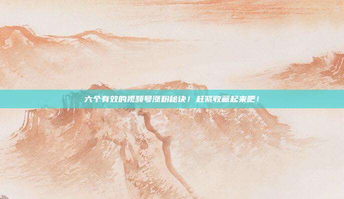 六个有效的视频号涨粉秘诀!赶紧收藏起来吧!