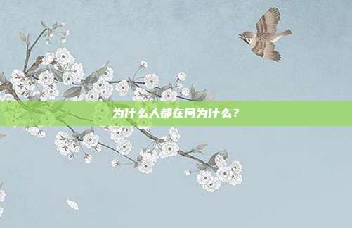 为什么人都在问为什么？
