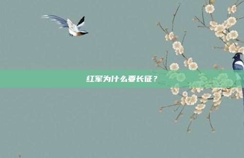 红军为什么要长征?