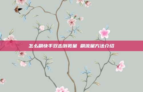 怎么刷快手双击浏览量 刷流量方法介绍