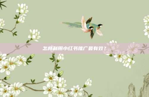 怎样利用小红书推广最有效?