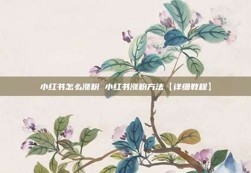 小红书怎么涨粉 小红书涨粉方法【详细教程】