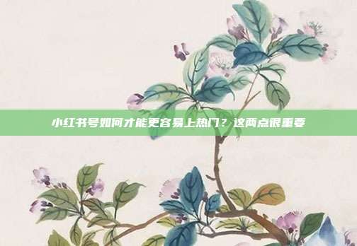 小红书号如何才能更容易上热门？这两点很重要