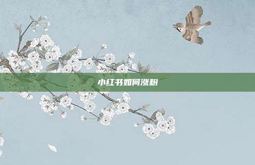 小红书如何涨粉