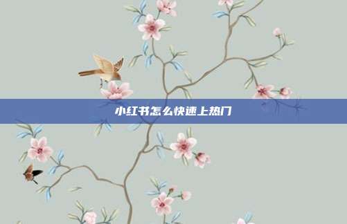 小红书怎么快速上热门
