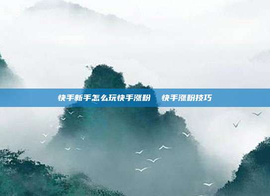 快手新手怎么玩快手涨粉  快手涨粉技巧
