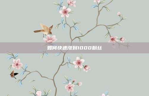 如何快速涨到1000粉丝