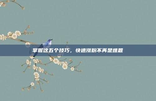 掌握这五个技巧,快速涨粉不再是难题