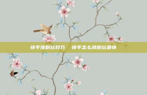 快手涨粉丝技巧 快手怎么涨粉丝最快