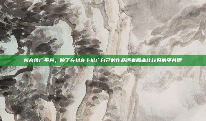 抖音推广平台,除了在抖音上推广自己的作品还有哪些比较好的平台呢