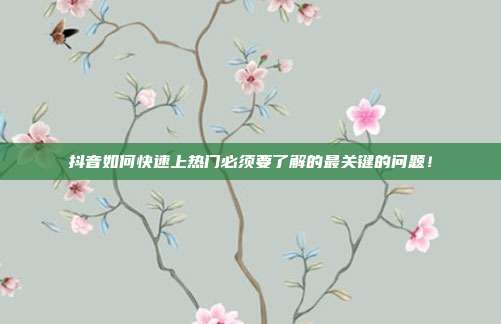 抖音如何快速上热门必须要了解的最关键的问题!