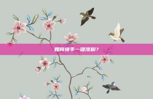 如何快手一键涨粉?