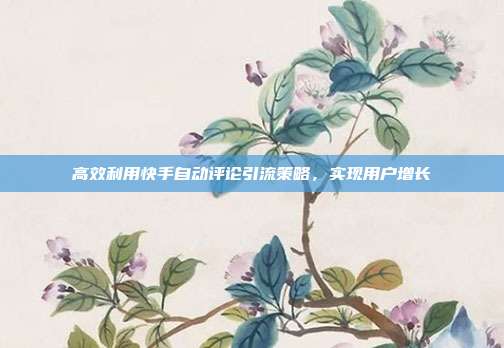 高效利用快手自动评论引流策略,实现用户增长