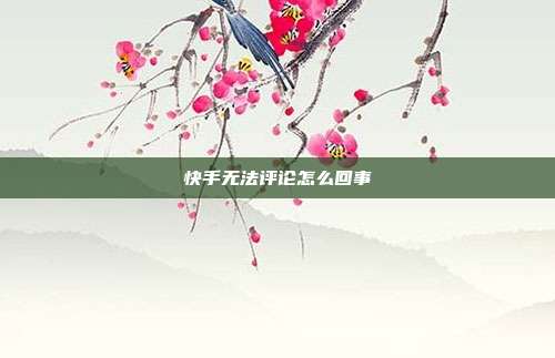 快手无法评论怎么回事