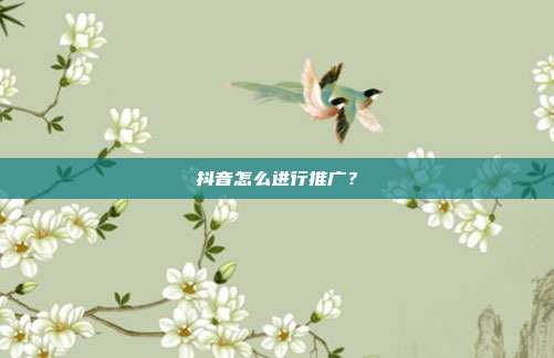 抖音怎么进行推广?