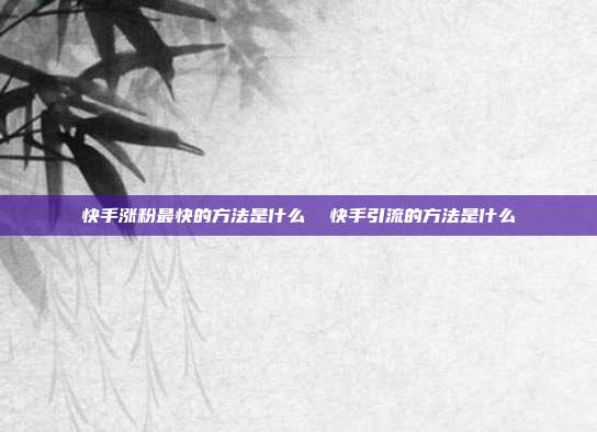 快手涨粉最快的方法是什么 快手引流的方法是什么