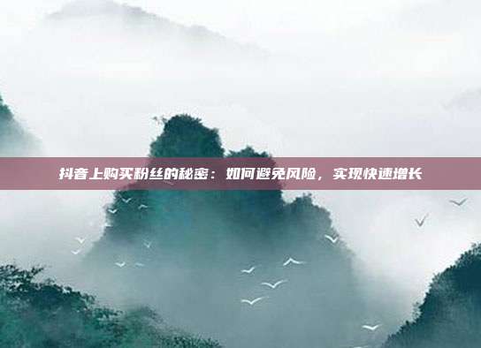 抖音上购买粉丝的秘密:如何避免风险,实现快速增长
