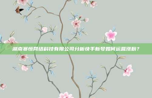 湖南赛恒网络科技有限公司分析快手新号如何运营涨粉?