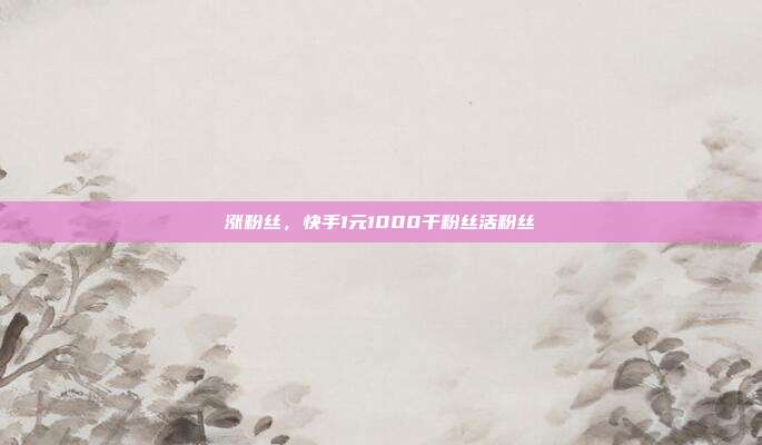涨粉丝,快手1元1000千粉丝活粉丝