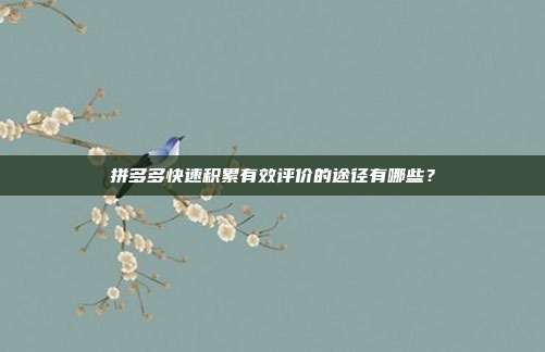 拼多多快速积累有效评价的途径有哪些?