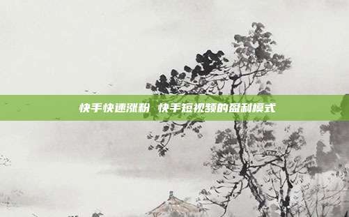 快手快速涨粉 快手短视频的盈利模式