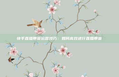 快手直播带货运营技巧:如何高效进行直播带货