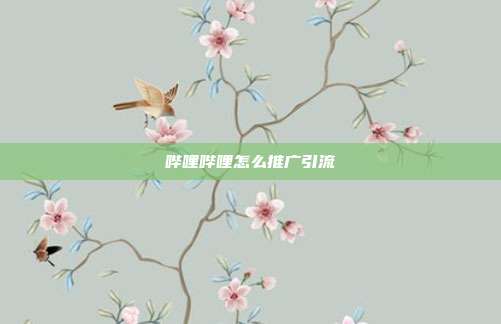 哔哩哔哩怎么推广引流
