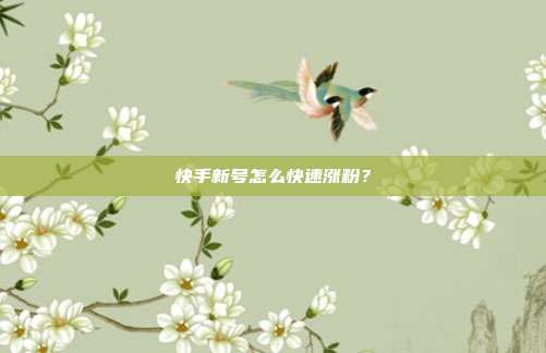快手新号怎么快速涨粉?