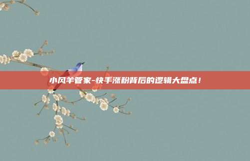 小风羊管家-快手涨粉背后的逻辑大盘点!