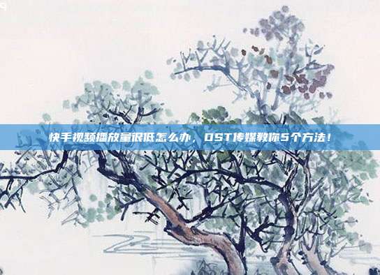 快手视频播放量很低怎么办,OST传媒教你5个方法!
